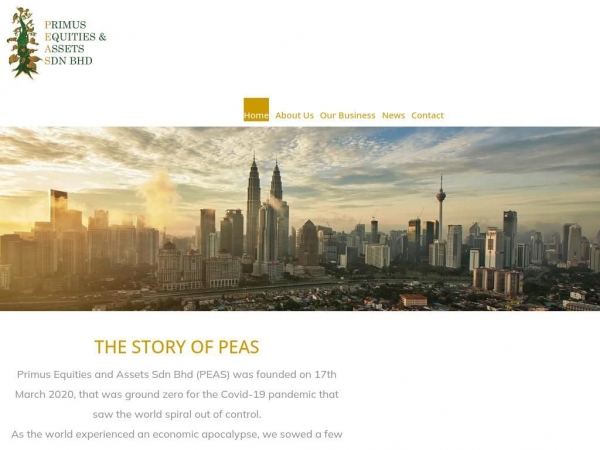 peas-group.com