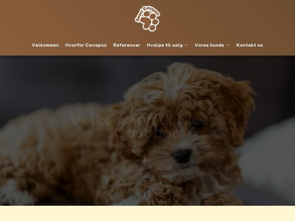 sweetcavapoo.dk