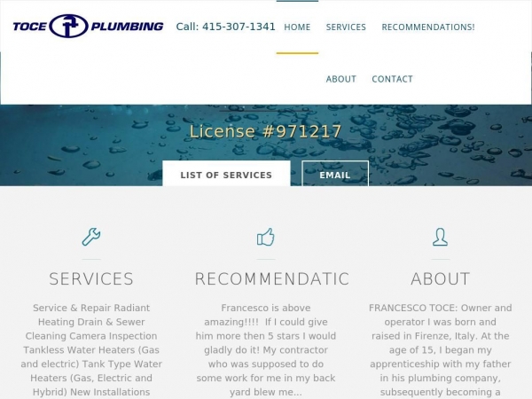 toceplumbing.com